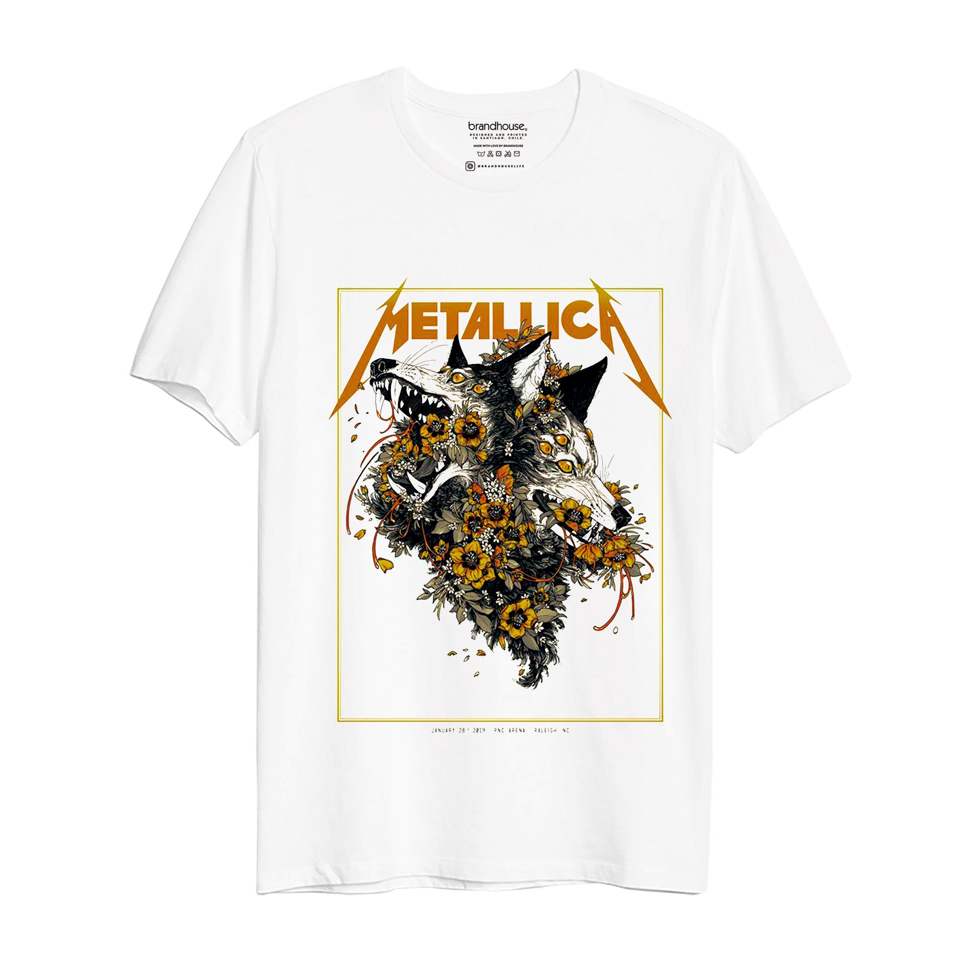 MetallicaLiveinRaleigh