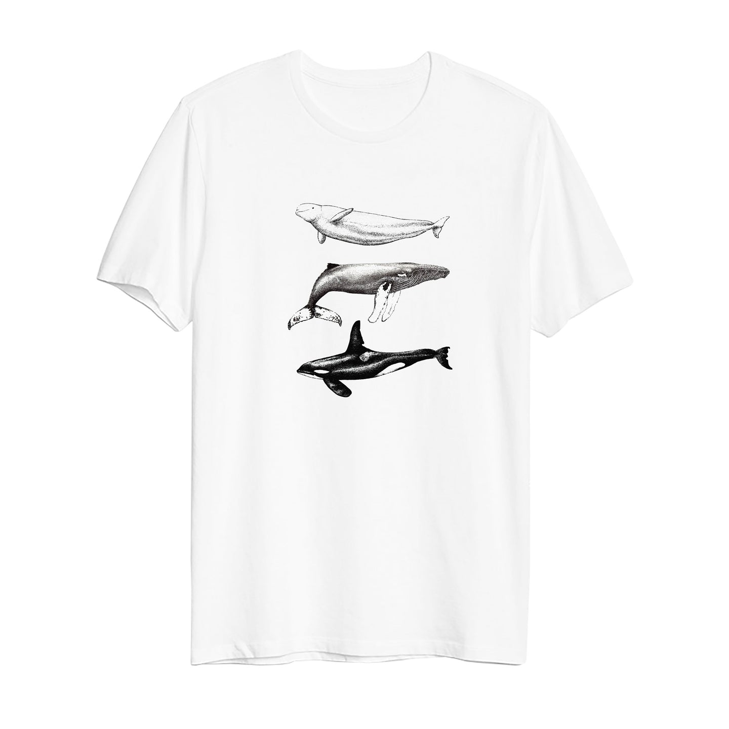 Whales
